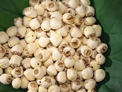 白莲特级干货纯手工新莲子农家特产图1