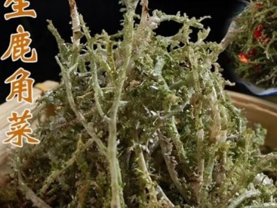 高原鹿角菜正宗石花菜山野菜裙带菜干货菲青海鹿角菜图1